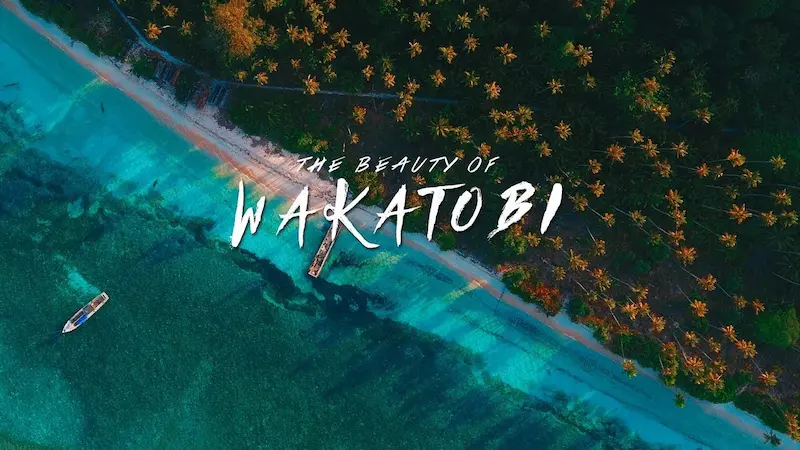 wakatobi, sulawesi tenggara