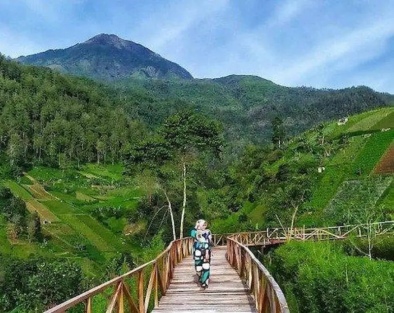 wisata alam menyatu dengan alam tanpa mahal